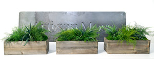 Set of 3 Wooden Planter Boxes with Preserved Moss and Ferns - No Watering