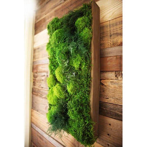 40” x 18” moss and ferns plant painting in shadow box frame with cedar finish.