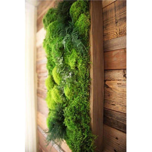 Moss and ferns plant painting in natural cedar shadow box frame, 40” x 18”, indoor wall art.