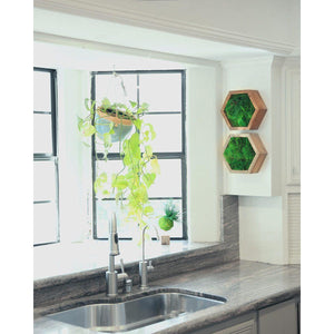 Modular hexagon wall art with minimalist green moss design near kitchen window.