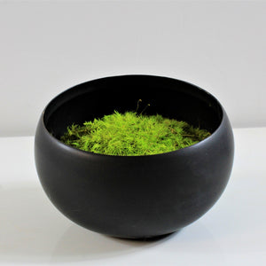 asymmetric moss bowl