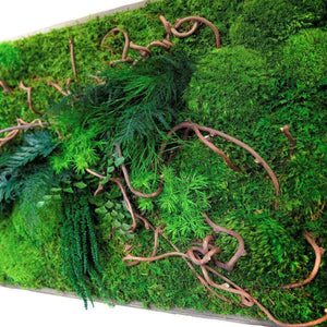 Curly vine branch plant painting with moss and ferns in rustic grey frame.