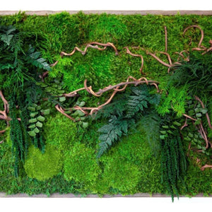 Curly vine branch plant painting with moss and ferns in rustic grey shadow box frame.
