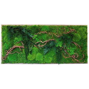 Curly Vine Branch 40” x 18” Plant Painting with ferns and moss in rustic grey wood frame.