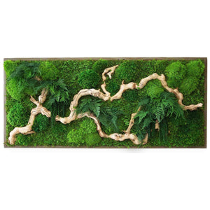 moss art with sandwood branches