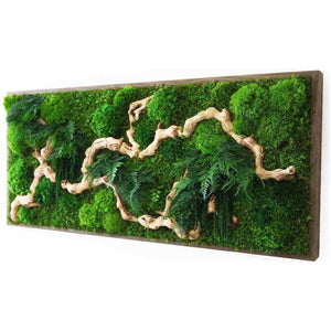 Sandwood Branch 40” x 18” with ferns and moss in rustic grey wood frame wall art.