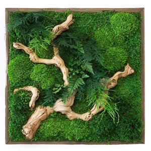 Moss art white sandwood 18x18