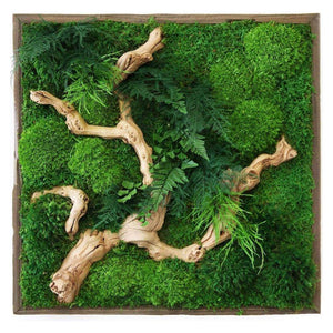 Sandwood Branch 18” X 18” plant painting with sandwood branches, ferns, and moss in rustic grey wood frame.