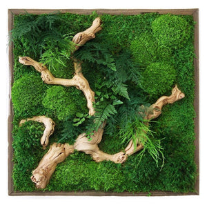 Sandwood Branch 24” x 24” Plant Painting with wood frame and natural moss.