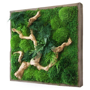 Sandwood Branch 24” x 24” Plant Painting with preserved moss and ferns in wood frame.