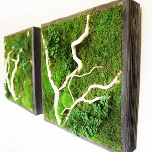 White winding branch plant painting with moss in a rustic grey wood frame, 24” x 24”.