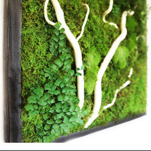 White Winding Branch Plant Painting® in rustic grey frame with moss and ferns.