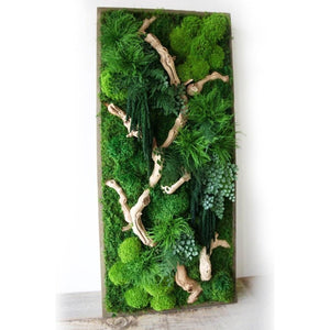 Sandwood Branch 40” x 18” Plant Painting with ferns and moss, rustic grey wood frame.