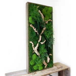 Sandwood Branch 40” x 18” Plant Painting with rustic grey wood frame, featuring ferns and moss.