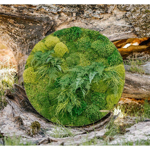 Round plant painting with moss and ferns in a distressed metal frame.
