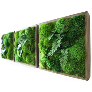 14" x 14" Plant Painting with moss and ferns in rustic grey reclaimed wood frame.