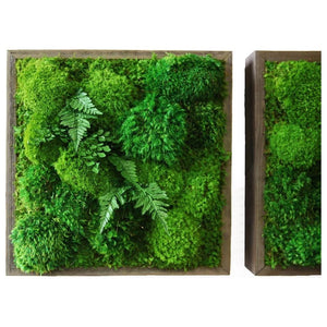 14x14 Moss & Ferns Plant Painting in rustic grey reclaimed wood frame.