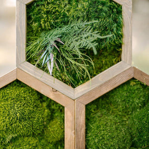 Modular hexagon with green moss and fern design in wooden frame.