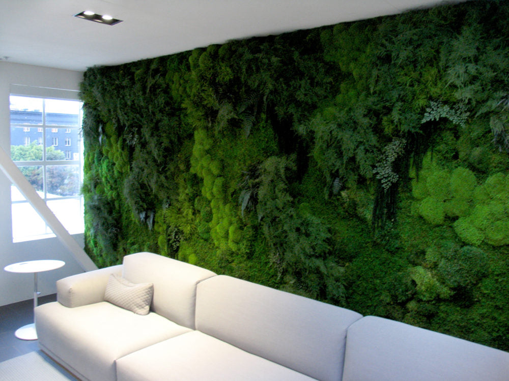 full wall of moss - custom artisan moss design
