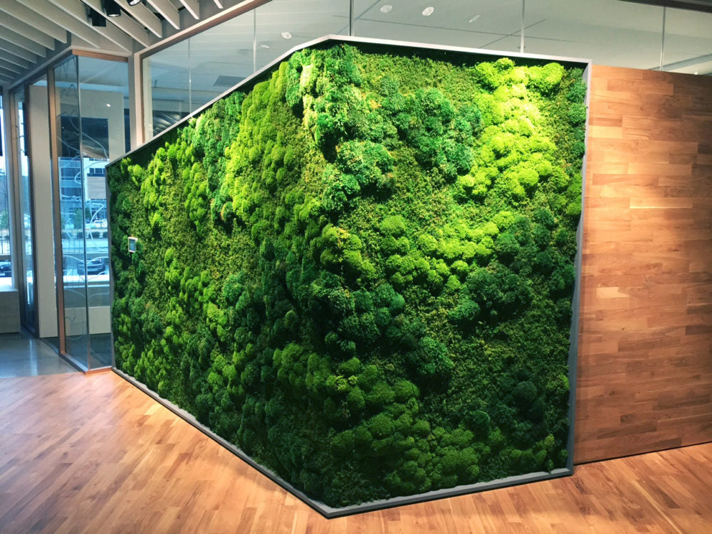 large moss walls - indoor