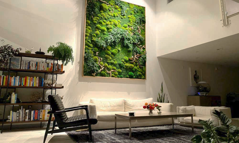 Mushies! Mushrooms! Fungus! And MOSS!