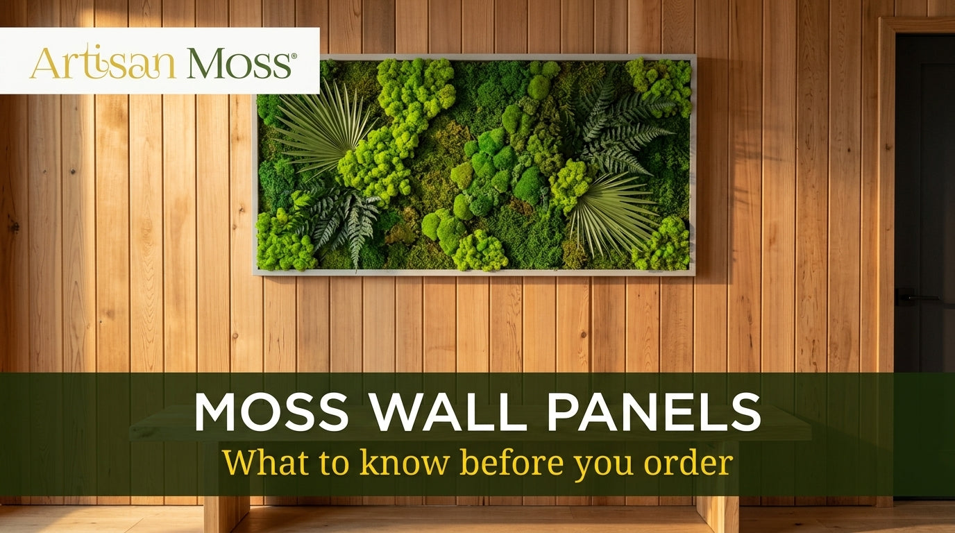 Moss Wall Panels, Made Clear: Specs, Finish, Install