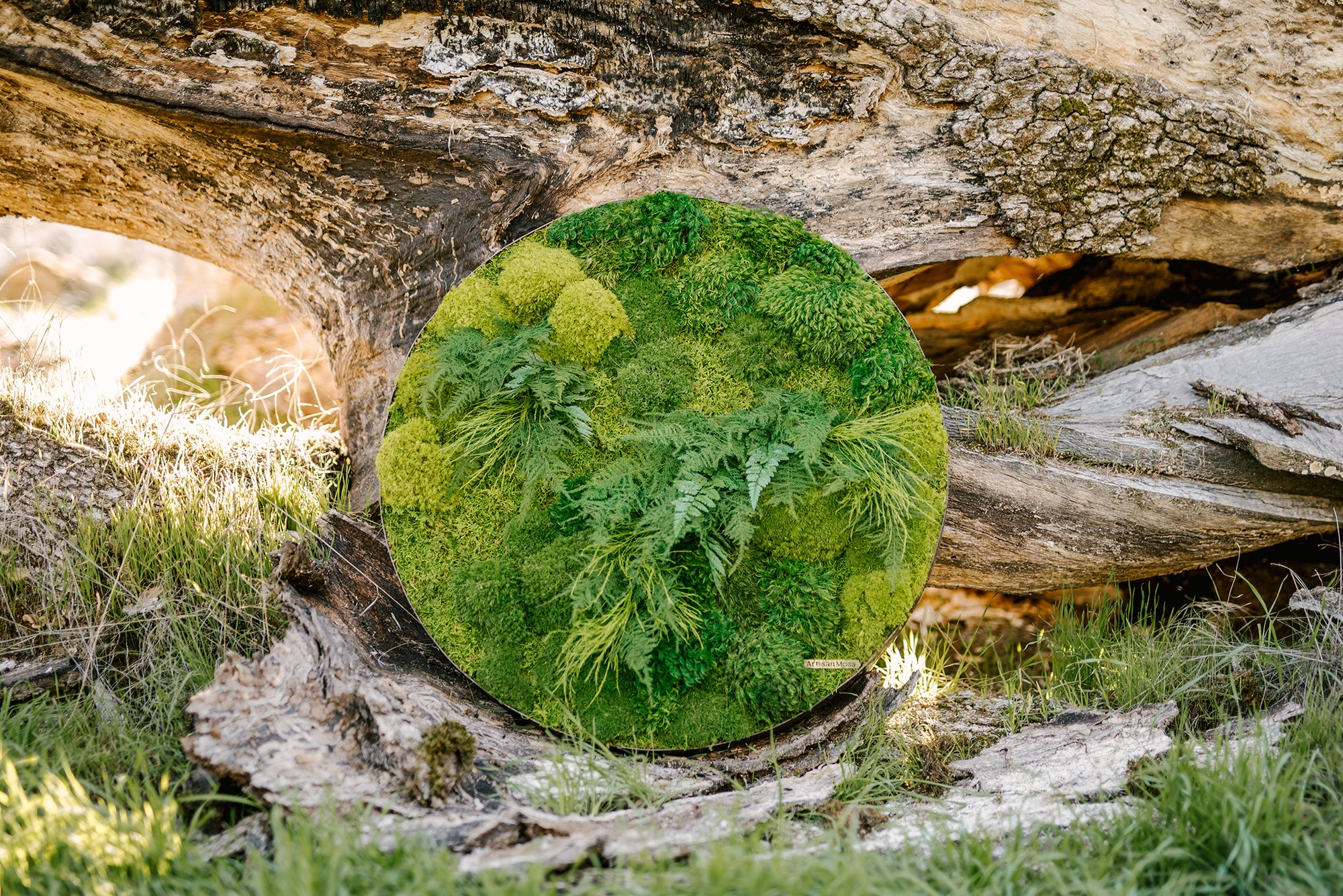 A Breath of Tranquility: Nurturing Mental Health with Greenery and Preserved Moss Art