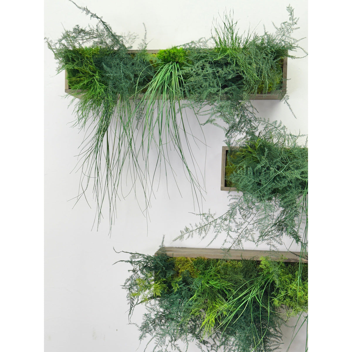 Large hanging wooden planter box with preserved moss and ferns.