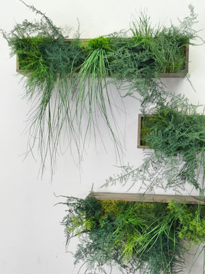 Large Hanging Wooden Planter Box with Preserved Moss and Ferns - No Watering