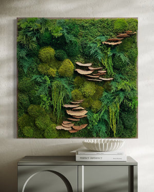 Preserved moss and fern wall art with shelf mushrooms, 36 x 36 inches