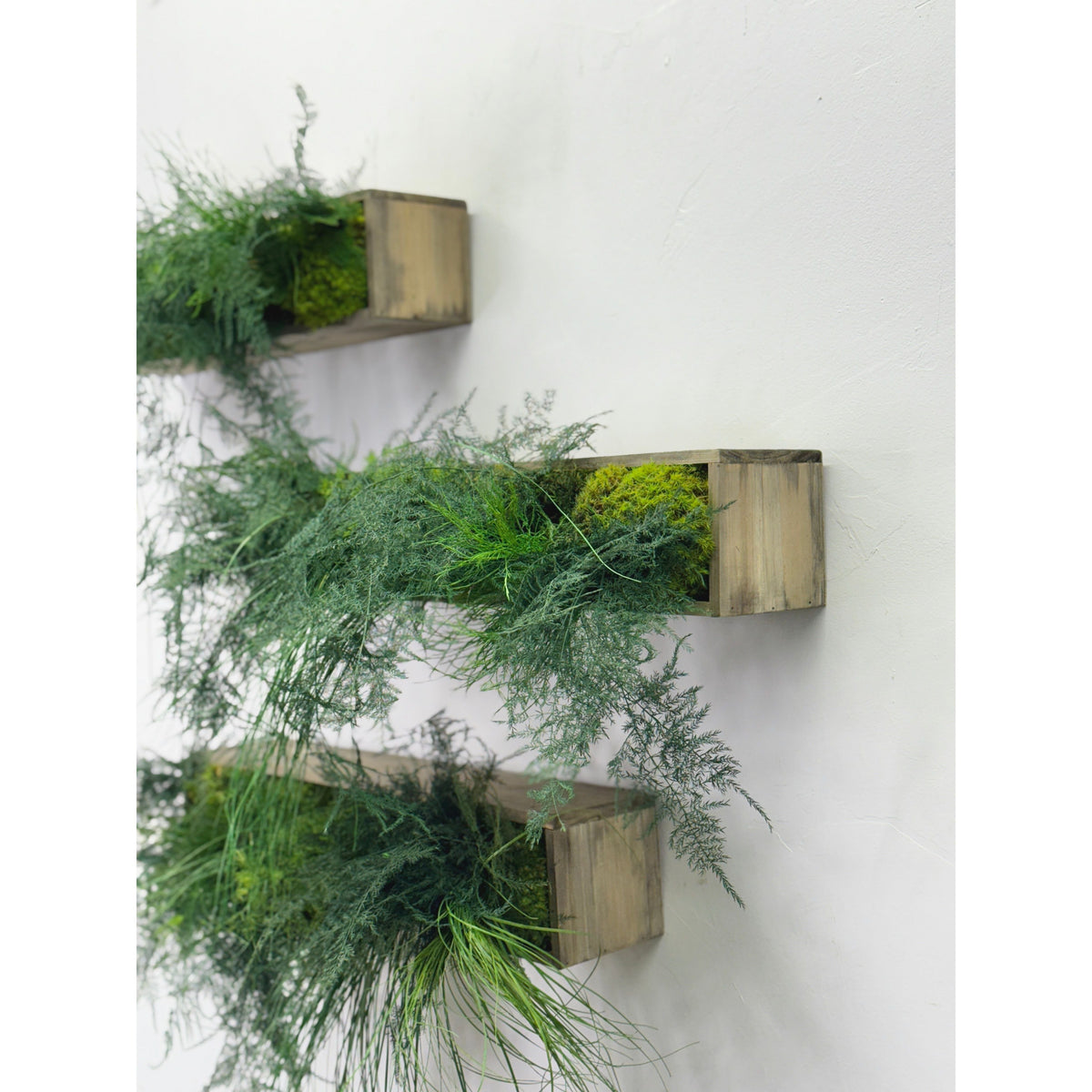 Large hanging wooden planter box with preserved moss and ferns, no watering needed.
