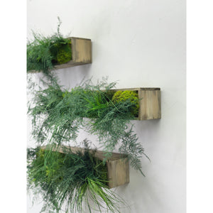 Large Hanging Wooden Planter Box with Preserved Moss and Ferns - No Watering