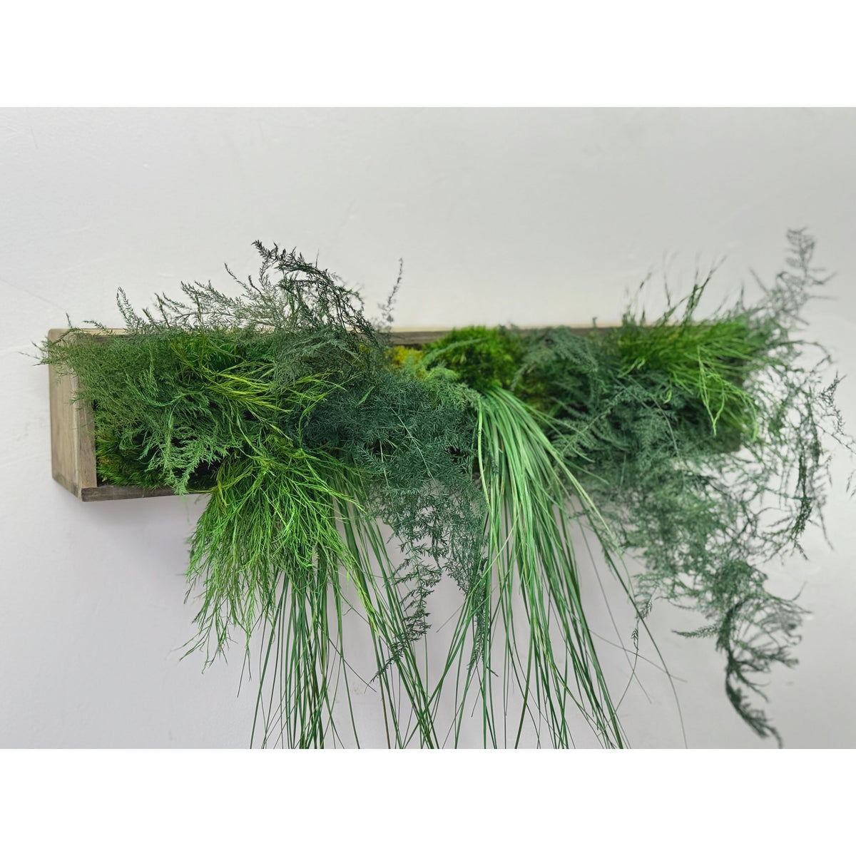 Large hanging wooden planter box with preserved moss and ferns, no watering needed.