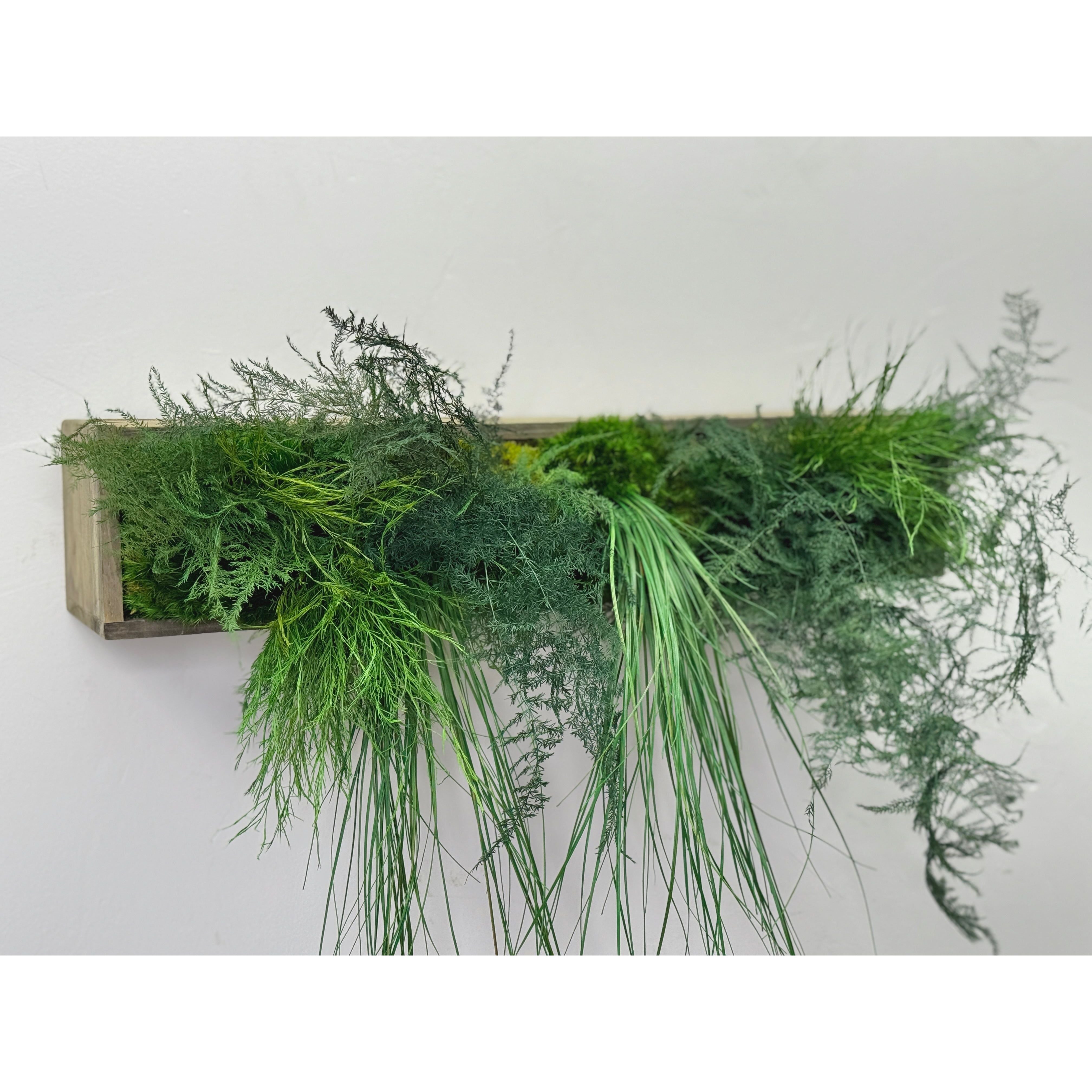 hanging moss planter Hanging Wooden Planter with Preserved Moss and Ferns Handmade 20"