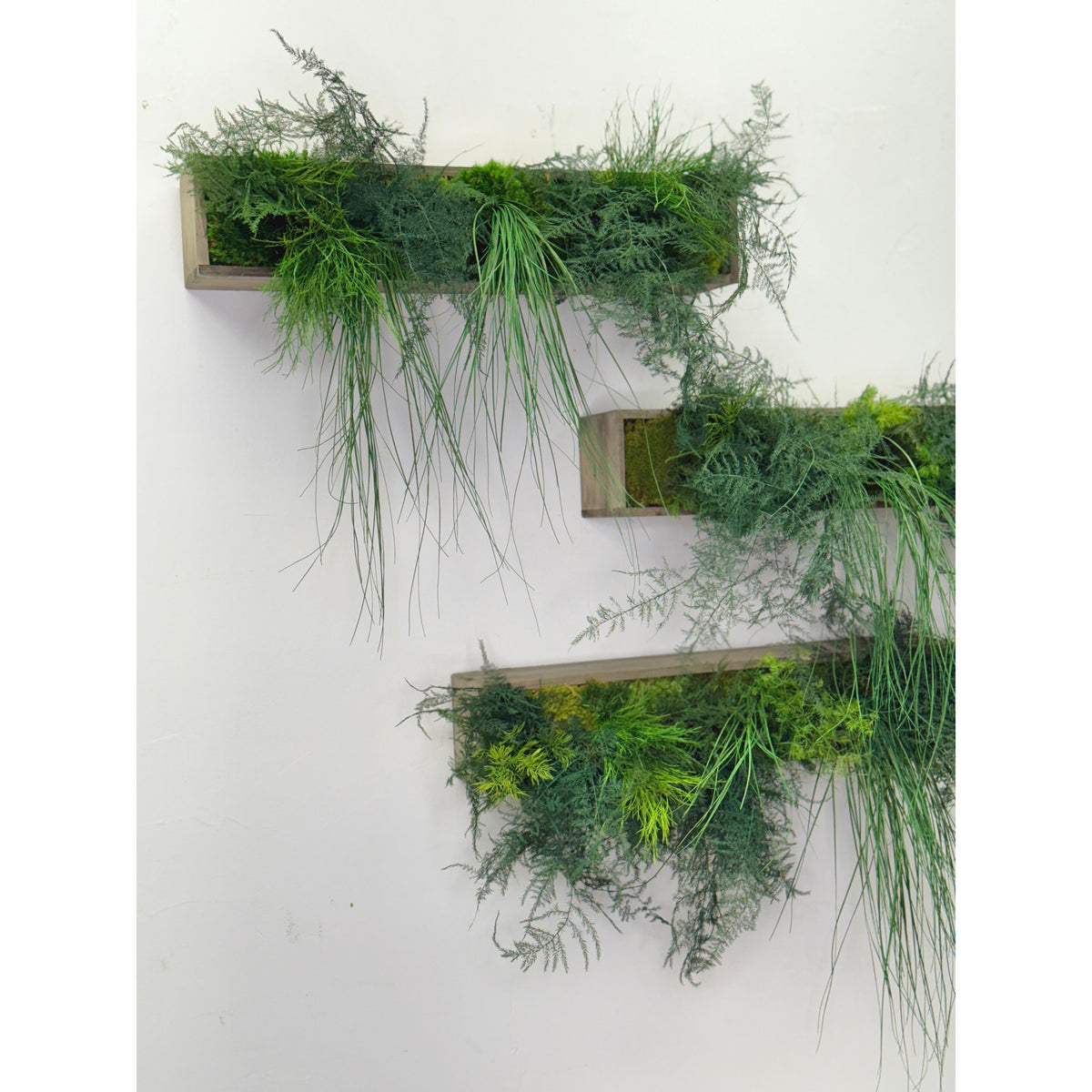 Large hanging wooden planter box with preserved moss and ferns, no watering required.