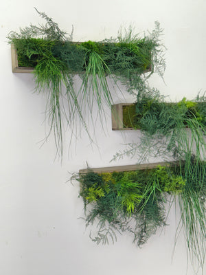 Large Hanging Wooden Planter Box with Preserved Moss and Ferns - No Watering