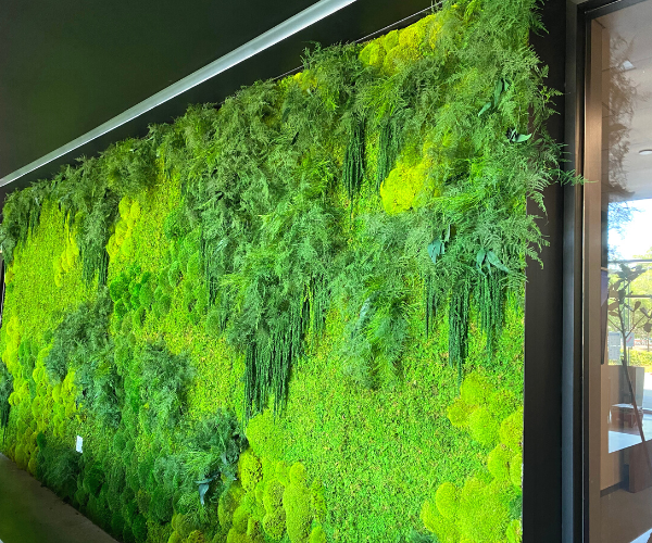 large moss art in venture capital firm