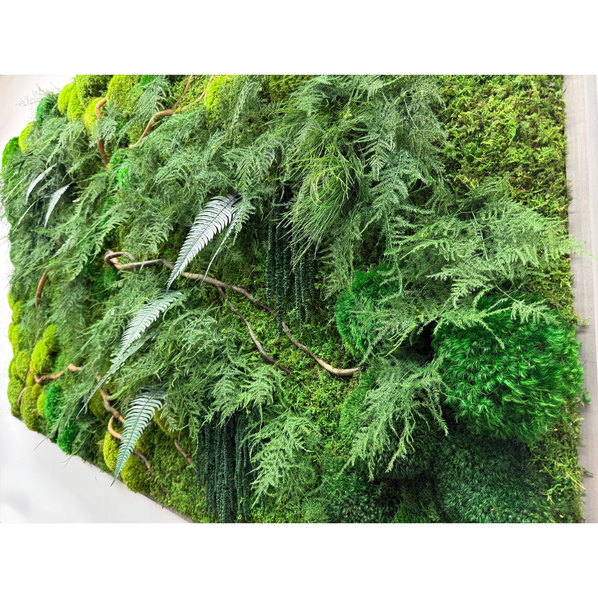 Natural branch with moss and ferns wall art, oversized statement piece.