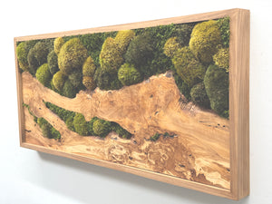 Olive Wood & Olive Moss Plant Painting with moss and ferns in cedar frame.