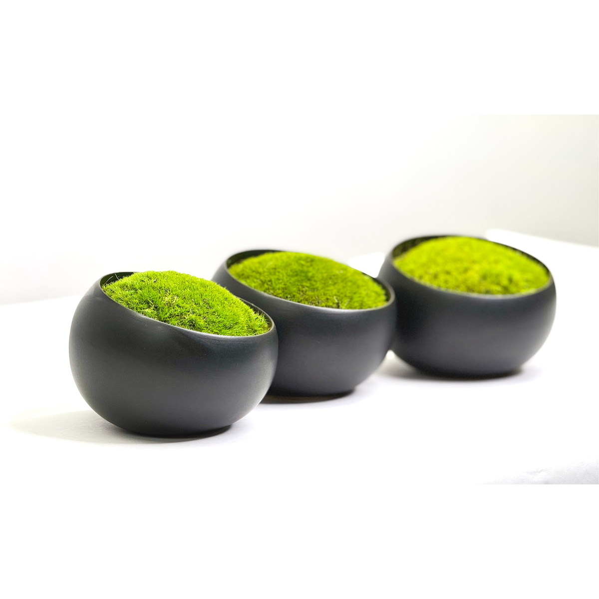 Preserved moss in asymmetrical black ceramic bowls, lush and maintenance-free decorative piece.