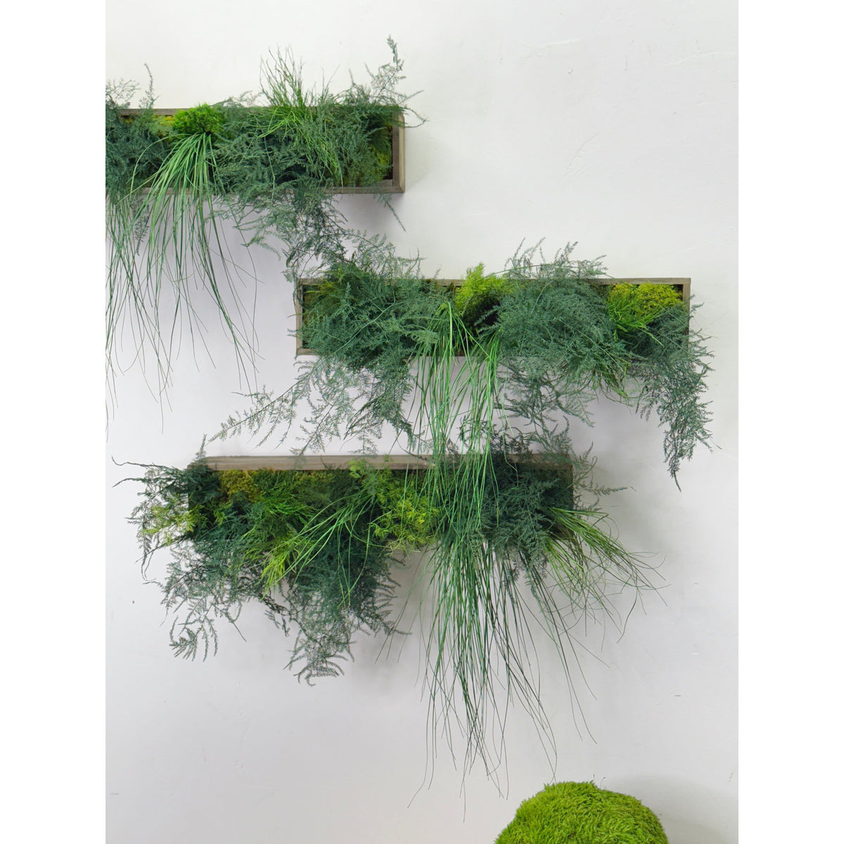 Large hanging wooden planter box with preserved moss and ferns, no watering required.