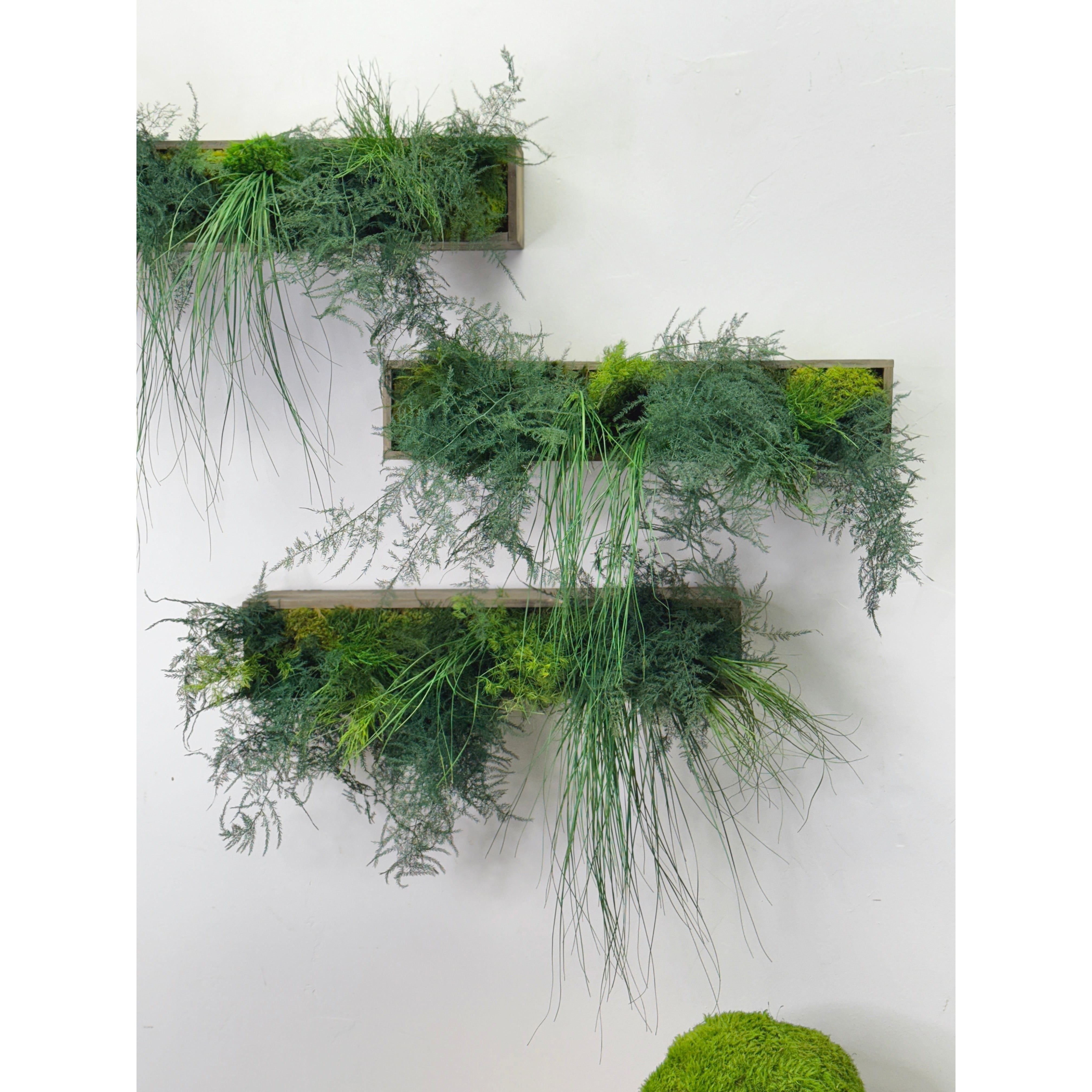 hanging planter 12 inch Hanging Wooden Planter- Small 12 inch with Preserved Moss and Ferns