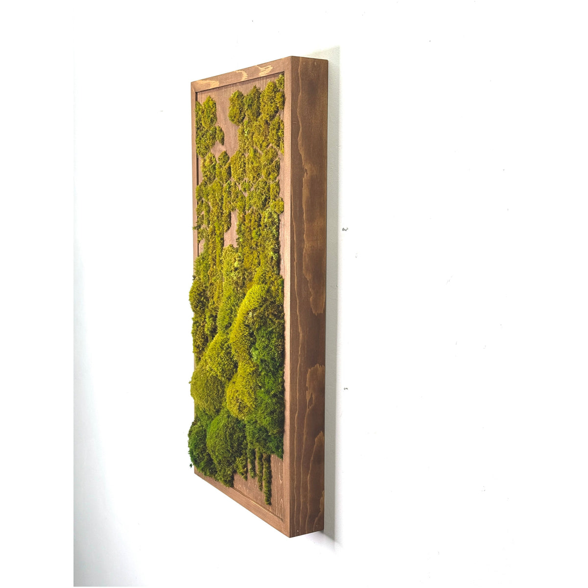 Geo Deco Botanical Moss Art in shadow box frame, 24” x 12”, with olive ombre moss pattern.