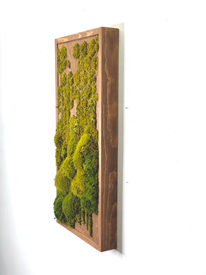 Geo Deco Botanical Moss Art 24” X 12”