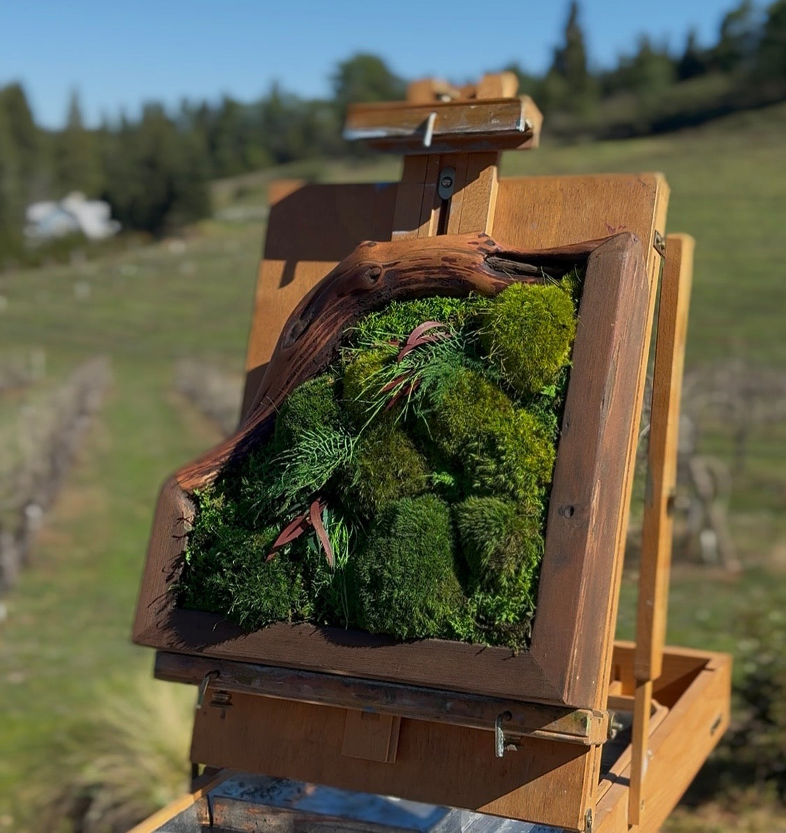 The Frame Grows a Branch Preserved Moss &amp; Fern Art 14” x 14”