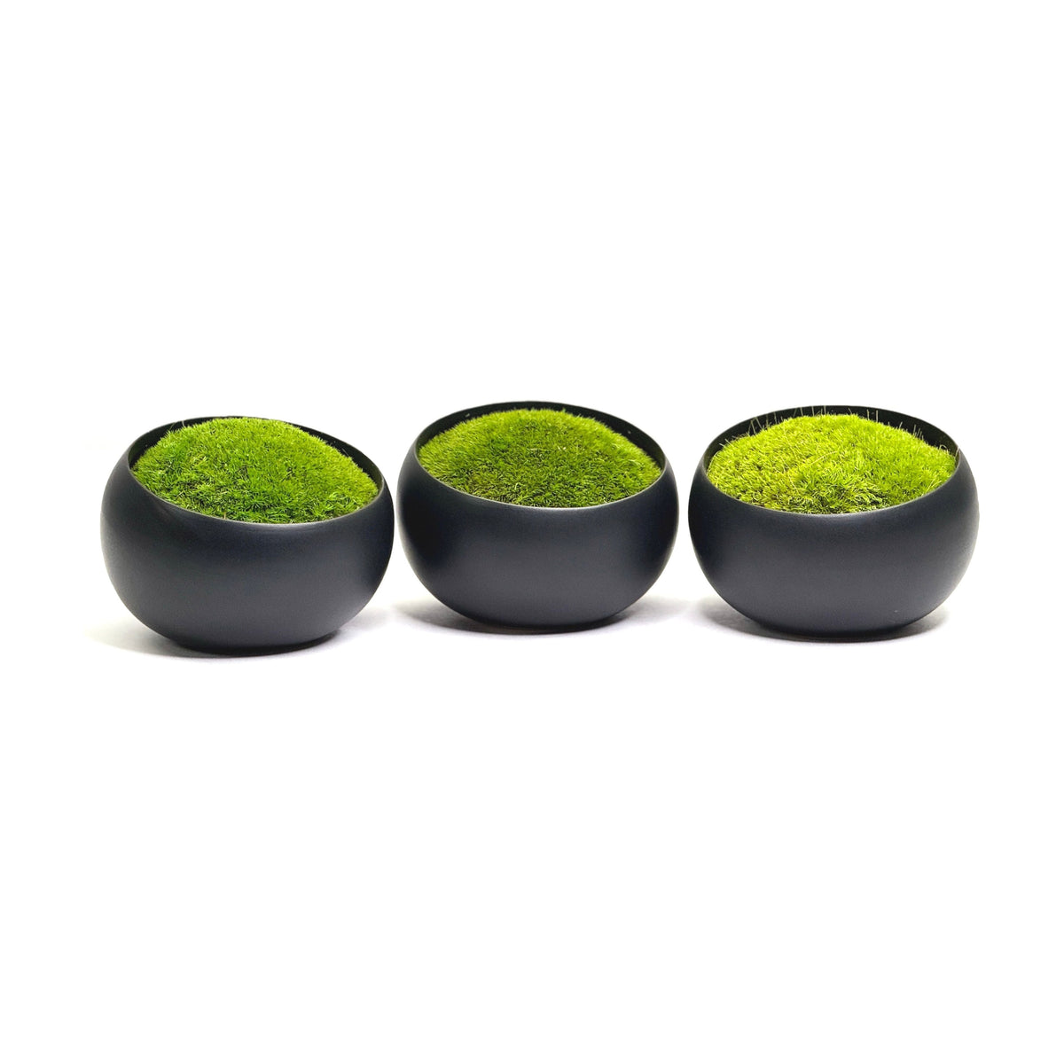 Modern black ceramic bowls with preserved moss in vibrant green.