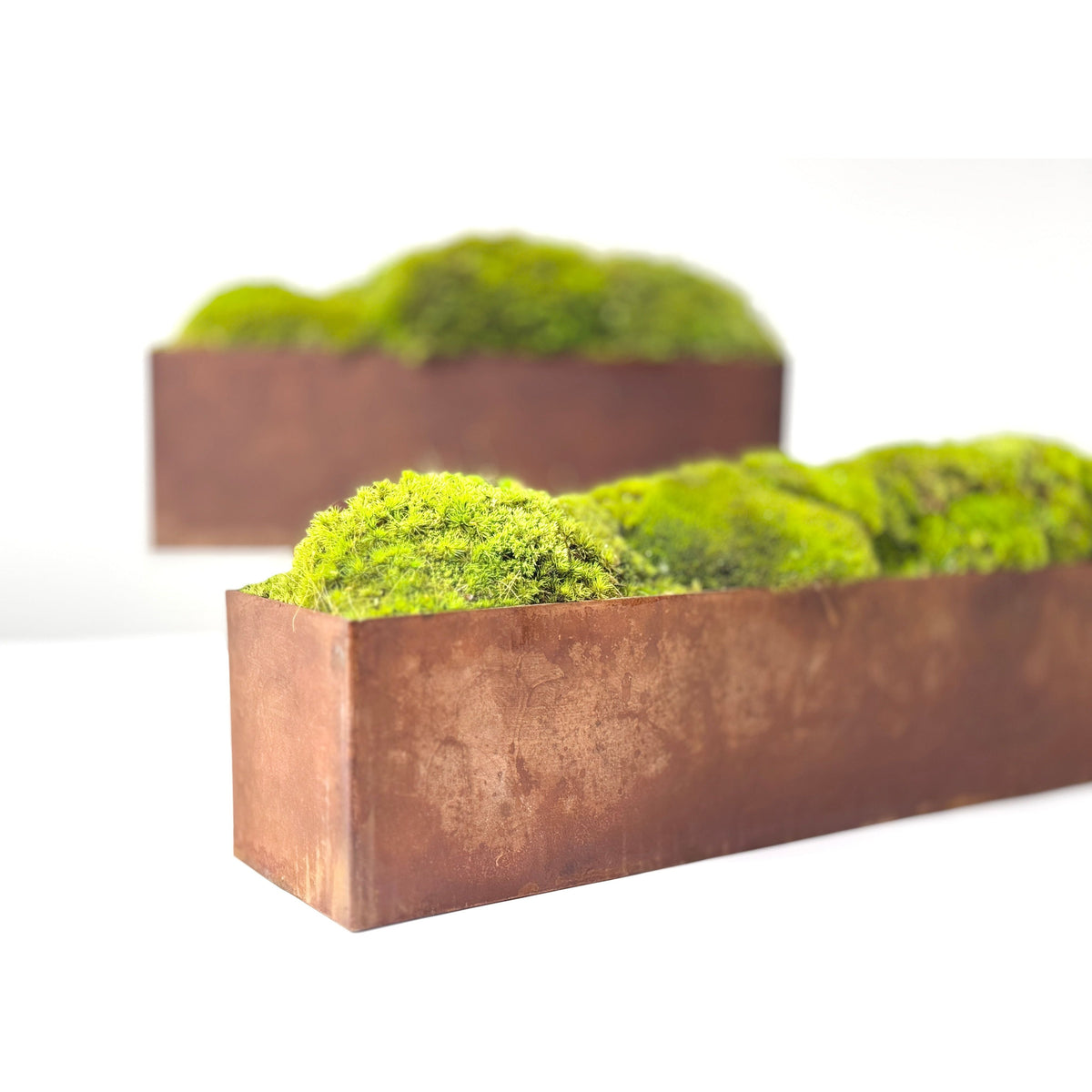 Large metal planter box filled with preserved moss, no watering needed, 24 inches long and 6 inches tall.