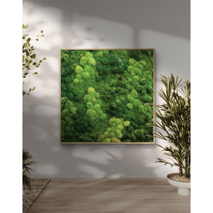 Moss wall preserved in gray frame, indoor decorative art, variety of preserved moss, unique handcrafted piece.