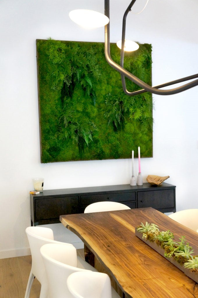 dining-room-conversation-piece-large-preserved-moss-and-fern-in-square-frame