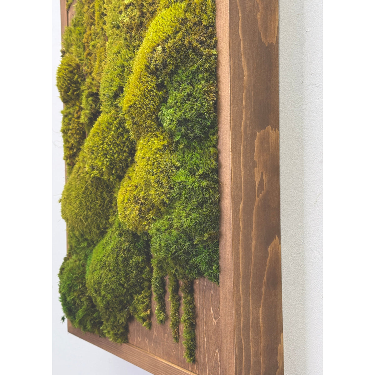 Geo Deco Botanical Moss Art with Natural Brown Frame, 24” x 12”